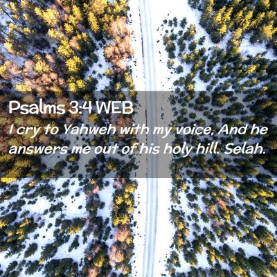 Picture 02 - Psalms 3:4 WEB - I cry to Yahweh with my voice, And he answers me - Bible Verse Picture