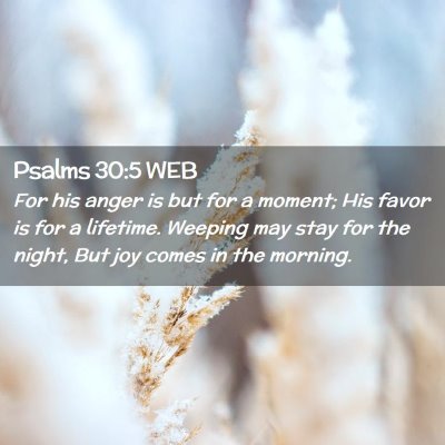 Picture 02 - Psalms 30:5 WEB - For his anger is but for a moment; His favor is - Bible Verse Picture