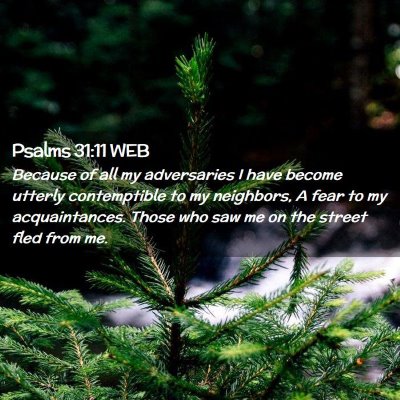 Picture 02 - Psalms 31:11 WEB - Because of all my adversaries I have become - Bible Verse Picture
