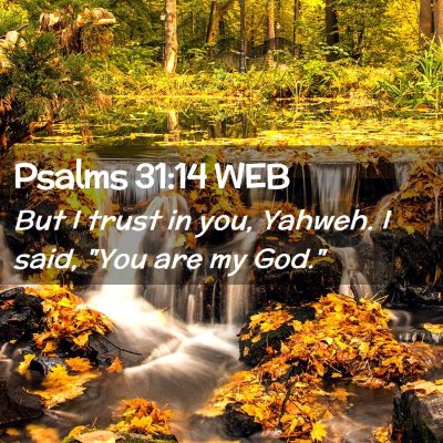 Picture 02 - Psalms 31:14 WEB - But I trust in you, Yahweh. I said, 