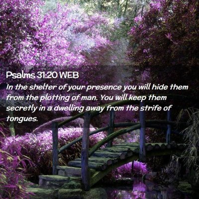 Picture 02 - Psalms 31:20 WEB - In the shelter of your presence you will hide - Bible Verse Picture
