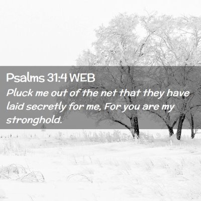 Picture 02 - Psalms 31:4 WEB - Pluck me out of the net that they have laid - Bible Verse Picture