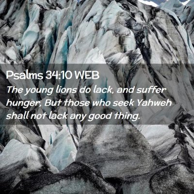 Picture 02 - Psalms 34:10 WEB - The young lions do lack, and suffer hunger, But - Bible Verse Picture