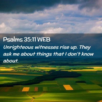 Picture 02 - Psalms 35:11 WEB - Unrighteous witnesses rise up. They ask me about - Bible Verse Picture