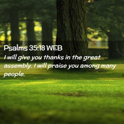 Picture 02 - Psalms 35:18 WEB - I will give you thanks in the great assembly. I - Bible Verse Picture