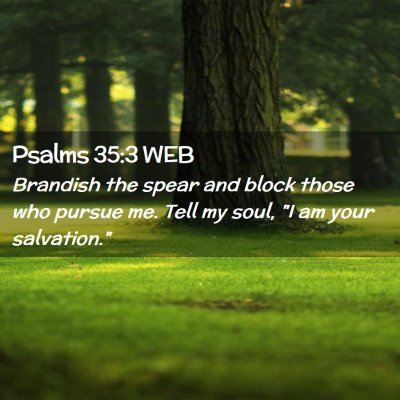 Picture 02 - Psalms 35:3 WEB - Brandish the spear and block those who pursue me. - Bible Verse Picture