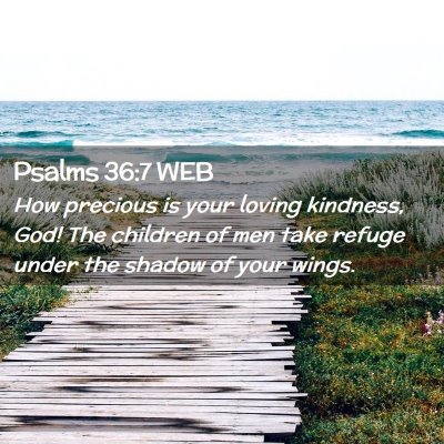 Picture 02 - Psalms 36:7 WEB - How precious is your loving kindness, God! The - Bible Verse Picture