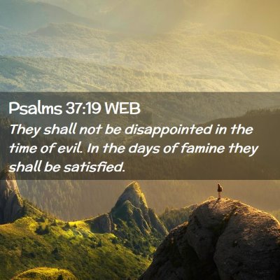 Picture 02 - Psalms 37:19 WEB - They shall not be disappointed in the time of - Bible Verse Picture