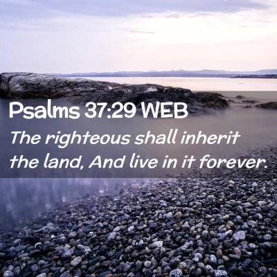 Picture 02 - Psalms 37:29 WEB - The righteous shall inherit the land, And live in - Bible Verse Picture