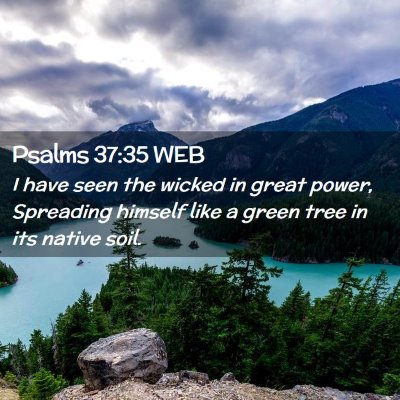Picture 02 - Psalms 37:35 WEB - I have seen the wicked in great power, Spreading - Bible Verse Picture