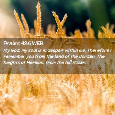 Picture 02 - Psalms 42:6 WEB - My God, my soul is in despair within me. - Bible Verse Picture