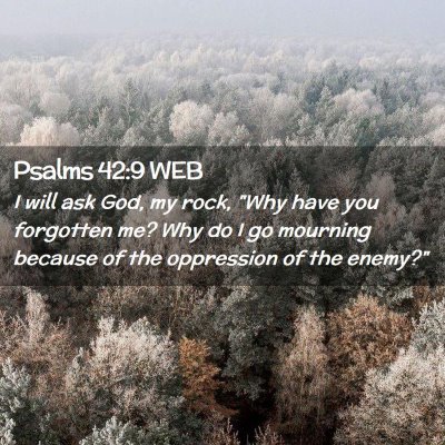 Picture 02 - Psalms 42:9 WEB - I will ask God, my rock, 