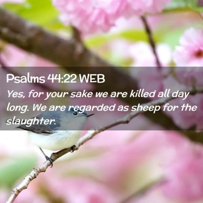 Picture 02 - Psalms 44:22 WEB - Yes, for your sake we are killed all day long. We - Bible Verse Picture