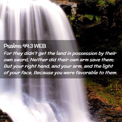 Picture 02 - Psalms 44:3 WEB - For they didn't get the land in possession by - Bible Verse Picture