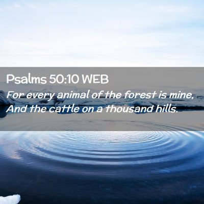 Picture 02 - Psalms 50:10 WEB - For every animal of the forest is mine, And the - Bible Verse Picture