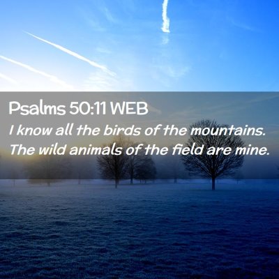 Picture 02 - Psalms 50:11 WEB - I know all the birds of the mountains. The wild - Bible Verse Picture