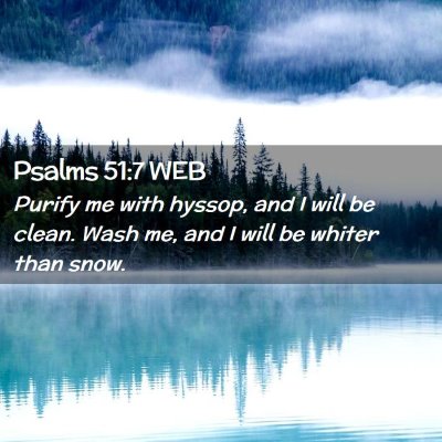 Picture 02 - Psalms 51:7 WEB - Purify me with hyssop, and I will be clean. Wash - Bible Verse Picture