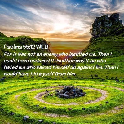 Picture 02 - Psalms 55:12 WEB - For it was not an enemy who insulted me, Then I - Bible Verse Picture
