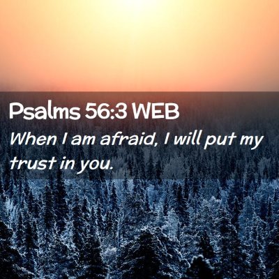 Picture 02 - Psalms 56:3 WEB - When I am afraid, I will put my trust in - Bible Verse Picture