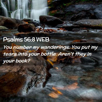 Picture 02 - Psalms 56:8 WEB - You number my wanderings. You put my tears into - Bible Verse Picture