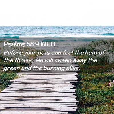 Picture 02 - Psalms 58:9 WEB - Before your pots can feel the heat of the thorns, - Bible Verse Picture