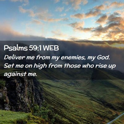 Picture 02 - Psalms 59:1 WEB - Deliver me from my enemies, my God. Set me on - Bible Verse Picture
