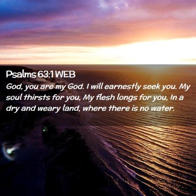 Picture 02 - Psalms 63:1 WEB - God, you are my God. I will earnestly seek you. - Bible Verse Picture