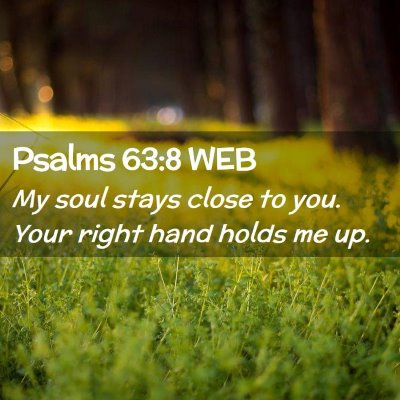 Picture 02 - Psalms 63:8 WEB - My soul stays close to you. Your right hand holds - Bible Verse Picture