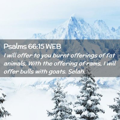 Picture 02 - Psalms 66:15 WEB - I will offer to you burnt offerings of fat - Bible Verse Picture