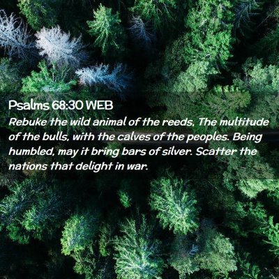 Picture 02 - Psalms 68:30 WEB - Rebuke the wild animal of the reeds, The - Bible Verse Picture
