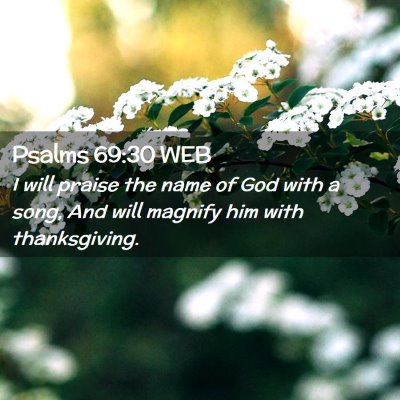 Picture 02 - Psalms 69:30 WEB - I will praise the name of God with a song, And - Bible Verse Picture