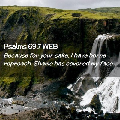 Picture 02 - Psalms 69:7 WEB - Because for your sake, I have borne reproach. - Bible Verse Picture