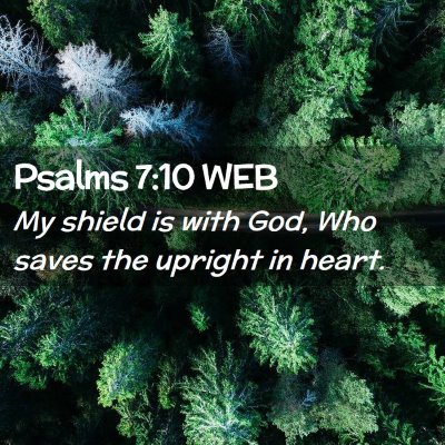 Picture 02 - Psalms 7:10 WEB - My shield is with God, Who saves the upright in - Bible Verse Picture