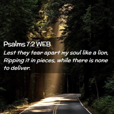 Picture 02 - Psalms 7:2 WEB - Lest they tear apart my soul like a lion, Ripping - Bible Verse Picture