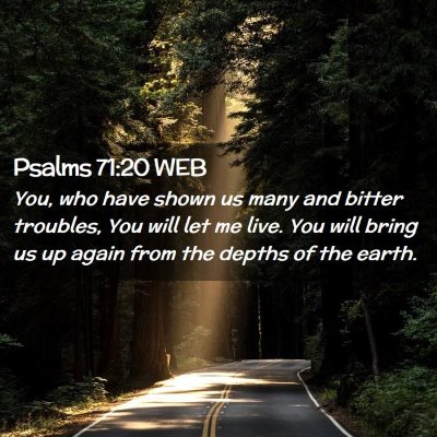 Picture 02 - Psalms 71:20 WEB - You, who have shown us many and bitter troubles, - Bible Verse Picture