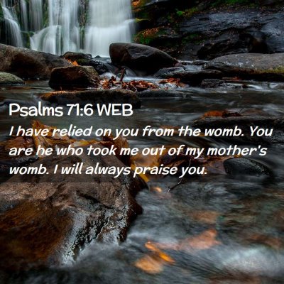 Picture 02 - Psalms 71:6 WEB - I have relied on you from the womb. You are he - Bible Verse Picture
