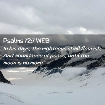 Picture 02 - Psalms 72:7 WEB - In his days, the righteous shall flourish, And - Bible Verse Picture