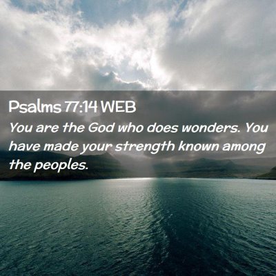 Picture 02 - Psalms 77:14 WEB - You are the God who does wonders. You have made - Bible Verse Picture