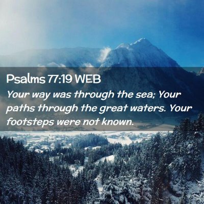 Picture 02 - Psalms 77:19 WEB - Your way was through the sea; Your paths through - Bible Verse Picture