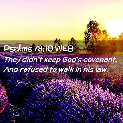 Picture 02 - Psalms 78:10 WEB - They didn't keep God's covenant, And refused to - Bible Verse Picture