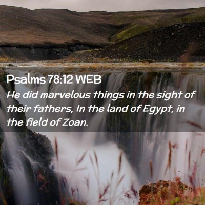Picture 02 - Psalms 78:12 WEB - He did marvelous things in the sight of their - Bible Verse Picture