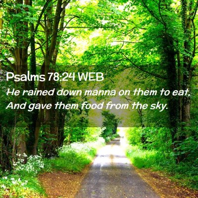 Picture 02 - Psalms 78:24 WEB - He rained down manna on them to eat, And gave - Bible Verse Picture