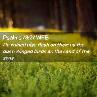 Picture 02 - Psalms 78:27 WEB - He rained also flesh on them as the dust; Winged - Bible Verse Picture