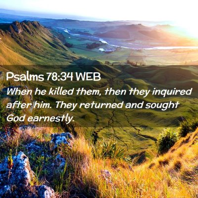 Picture 02 - Psalms 78:34 WEB - When he killed them, then they inquired after - Bible Verse Picture