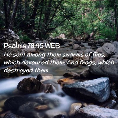 Picture 02 - Psalms 78:45 WEB - He sent among them swarms of flies, which - Bible Verse Picture