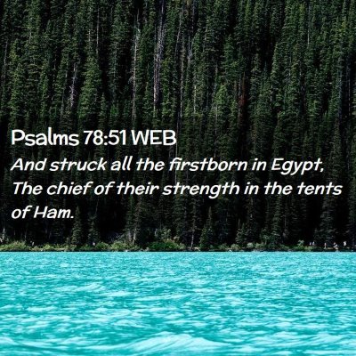 Picture 02 - Psalms 78:51 WEB - And struck all the firstborn in Egypt, The chief - Bible Verse Picture