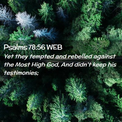 Picture 02 - Psalms 78:56 WEB - Yet they tempted and rebelled against the Most - Bible Verse Picture