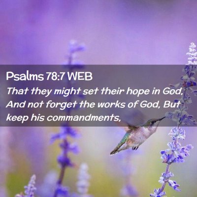 Picture 02 - Psalms 78:7 WEB - That they might set their hope in God, And not - Bible Verse Picture