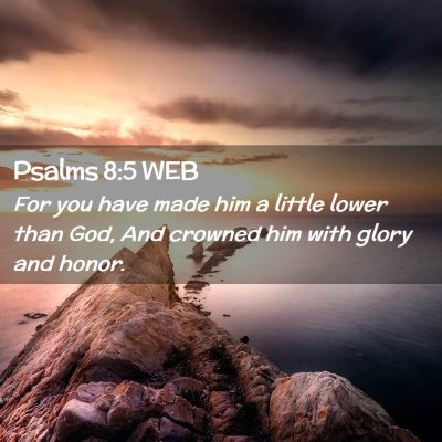 Picture 02 - Psalms 8:5 WEB - For you have made him a little lower than God, - Bible Verse Picture