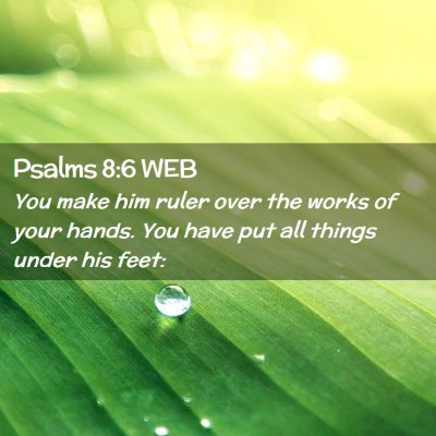 Picture 02 - Psalms 8:6 WEB - You make him ruler over the works of your hands. - Bible Verse Picture